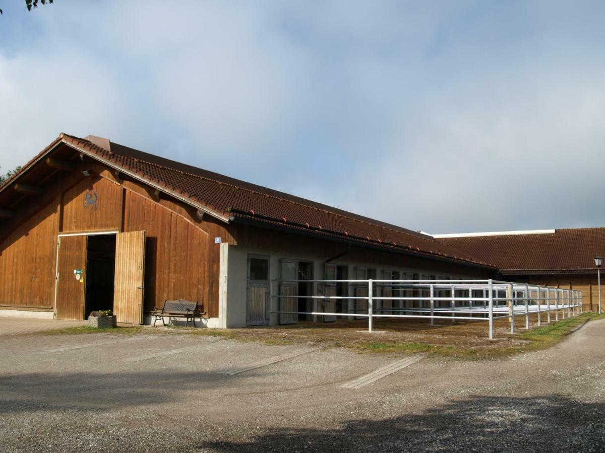 Ferienwohnung Pferdehof Pankratz Iffeldorf Bagian luar foto