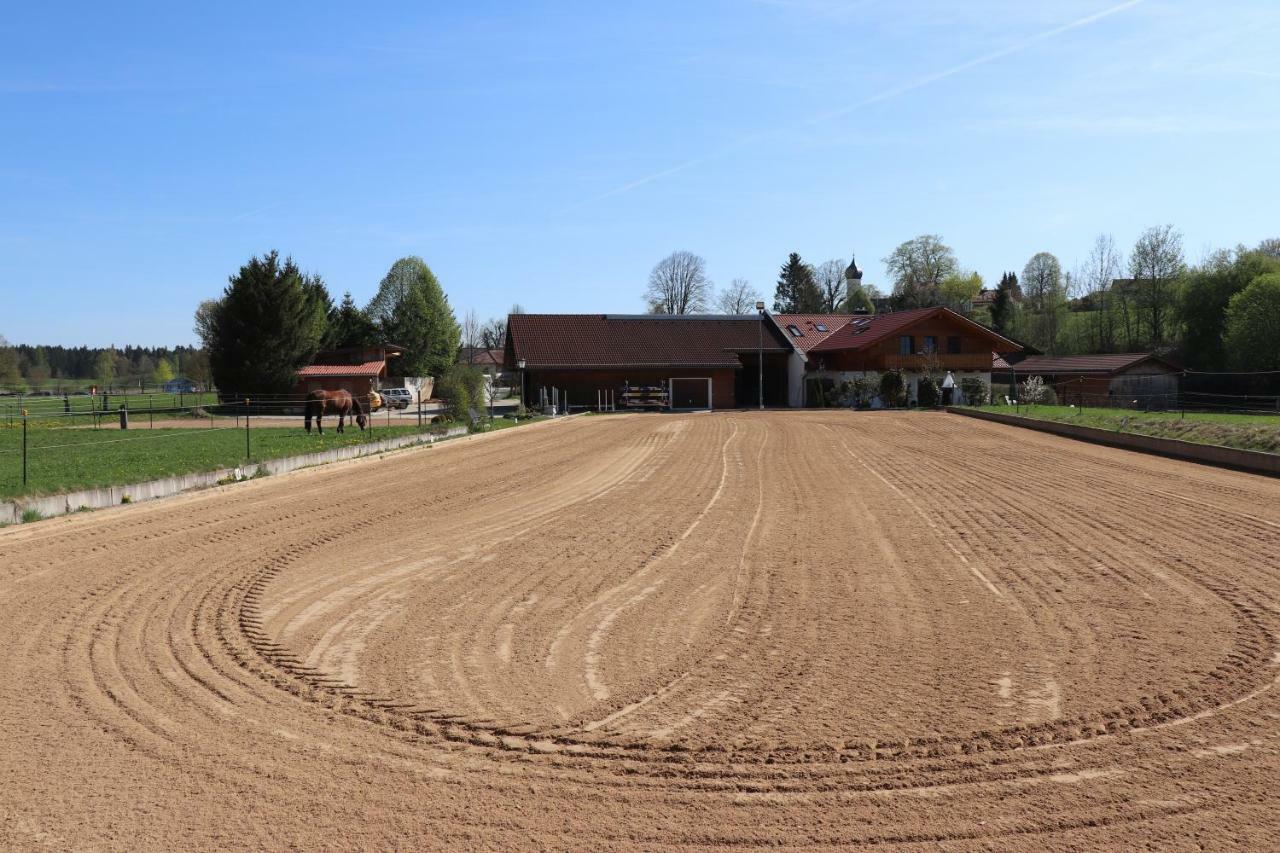 Ferienwohnung Pferdehof Pankratz Iffeldorf Bagian luar foto